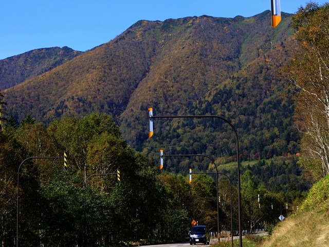 三国峠の紅葉の状況の画像