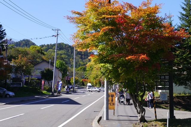 ぬかびら源泉郷の紅葉の状況の画像