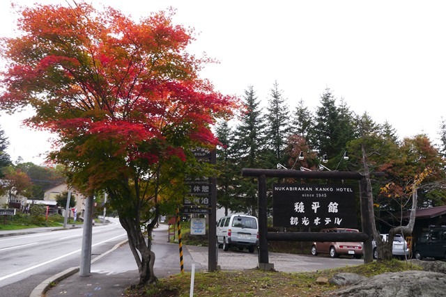ぬかびら源泉郷の紅葉の状況の画像