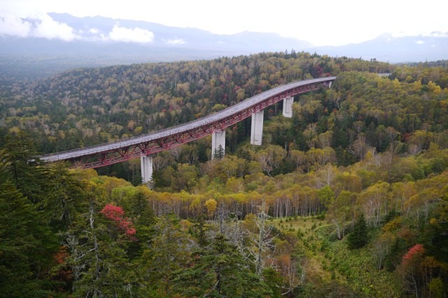 三国峠の紅葉の状況の画像