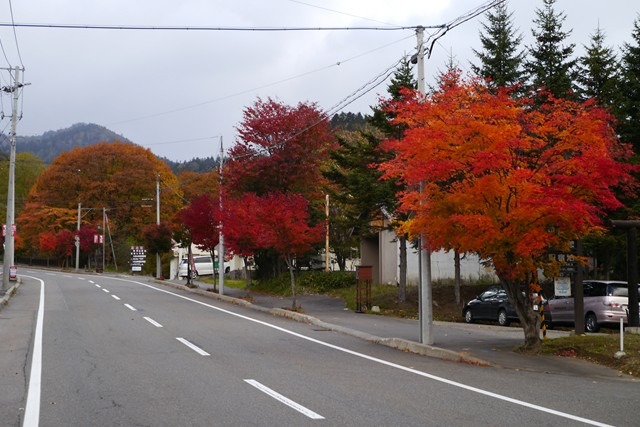 ぬかびら源泉郷の紅葉の状況の画像