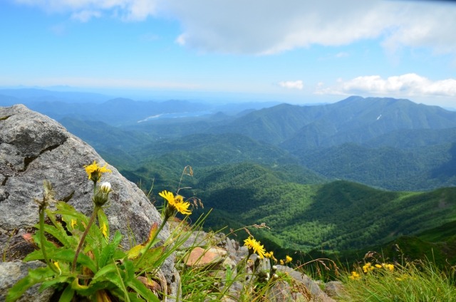 ニペソツ山の登山道を開放しましたの画像