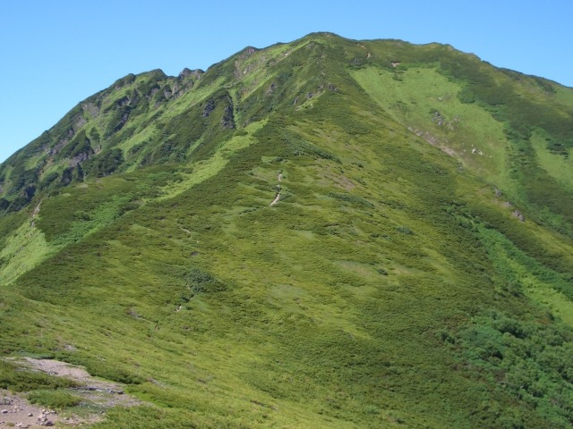 石狩岳・音更岳・ユニ石狩岳の登山道を開放しましたの画像