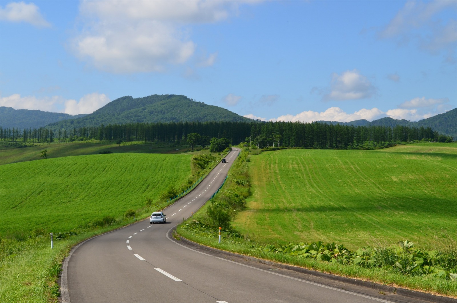 第10回上士幌町ナイタイ高原ヒルクライムの画像