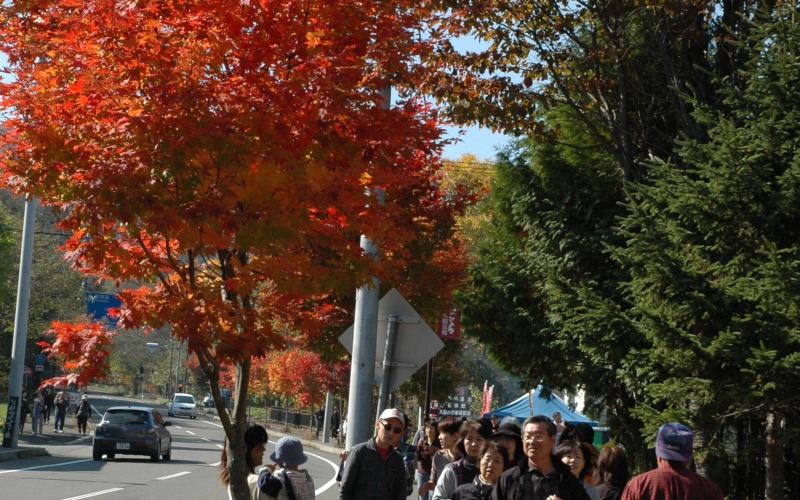 第1回ぬかびら源泉郷紅葉まつり