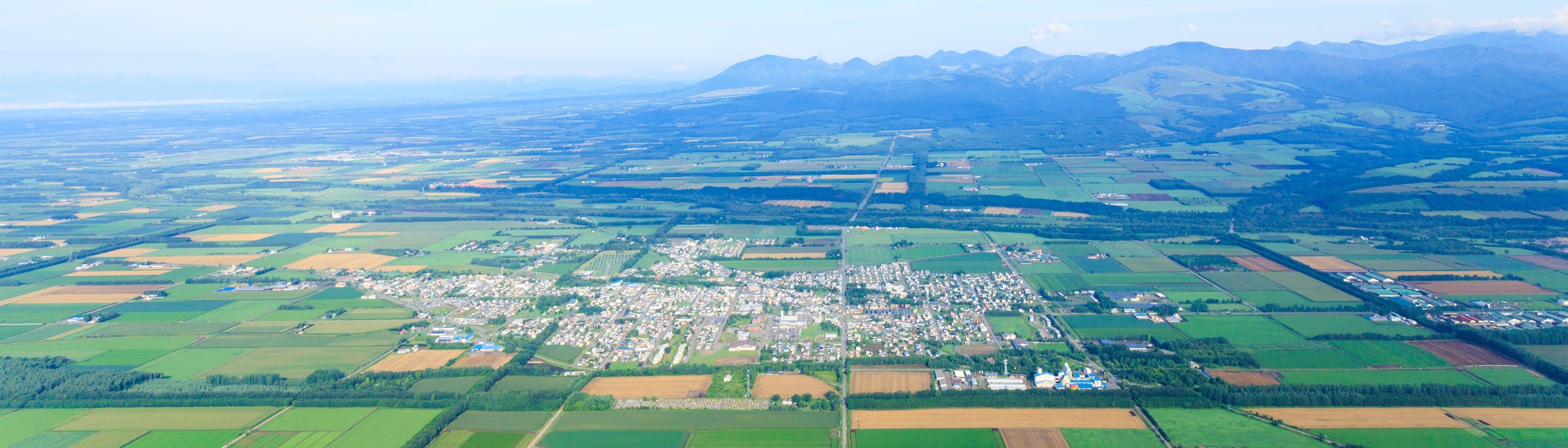 北海道バルーンフェスティバルの画像