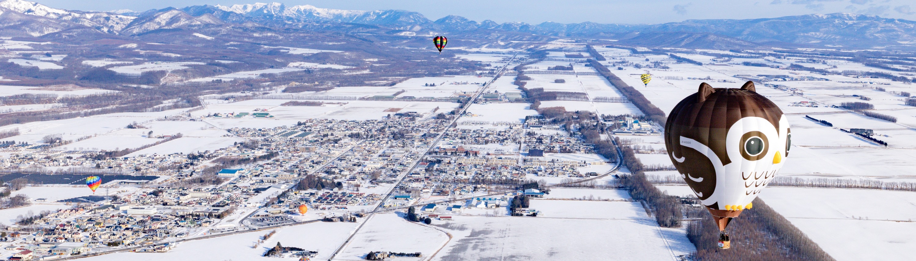 ウインターバルーンミーティングの画像