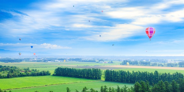 北海道バルーンフェスティバルの画像