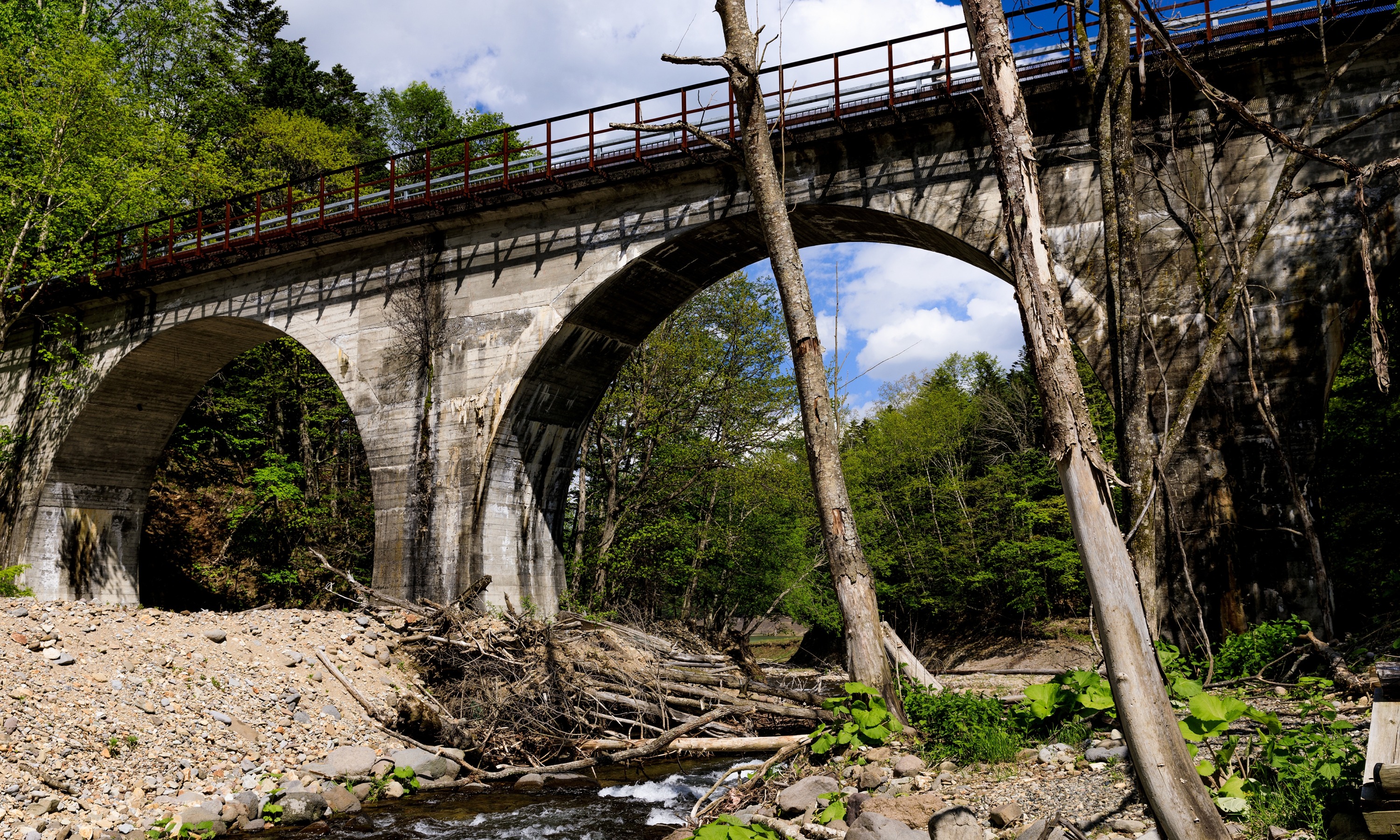糠平川橋梁（令和3年6月1日撮影）の画像