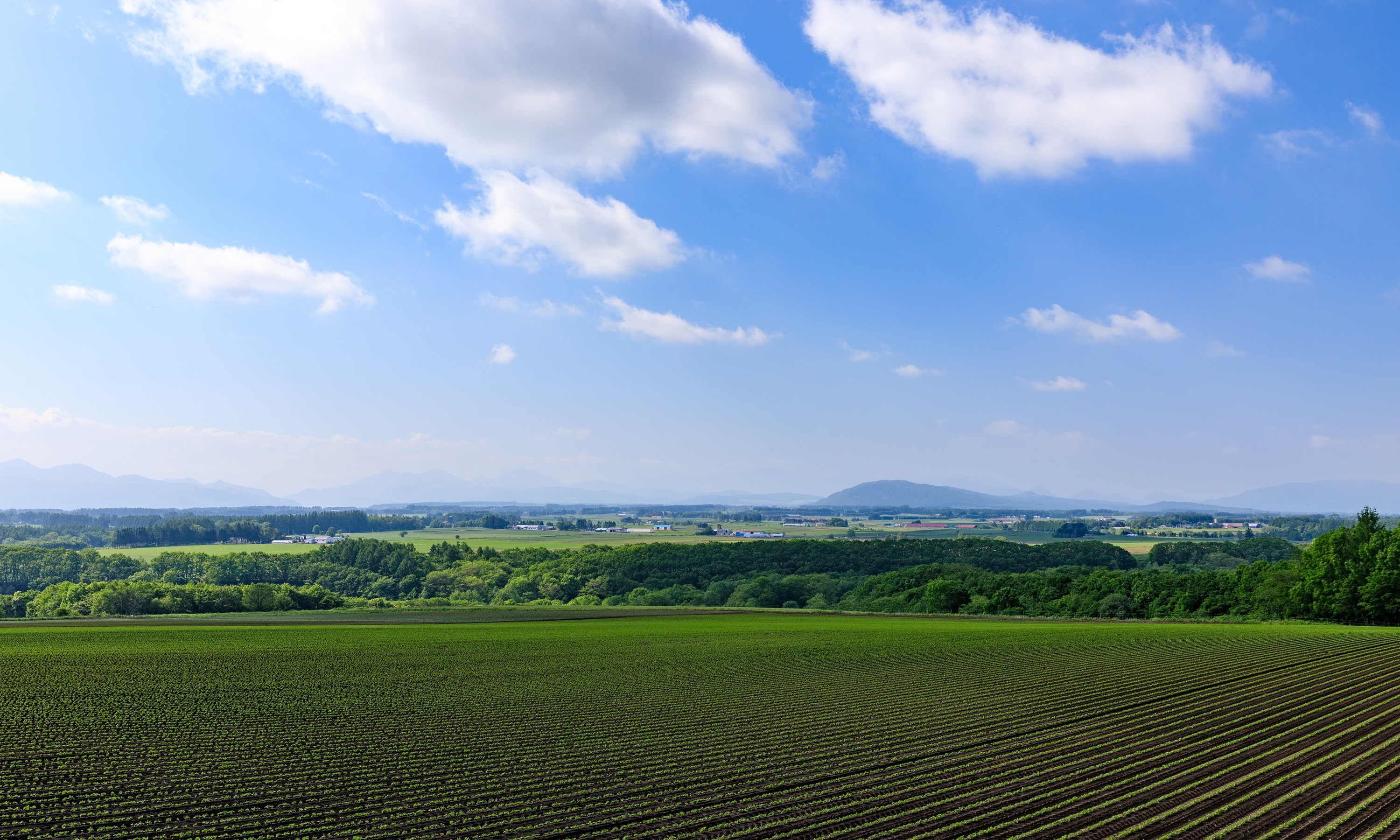 居辺の農村地帯（令和3年6月17日撮影）の画像