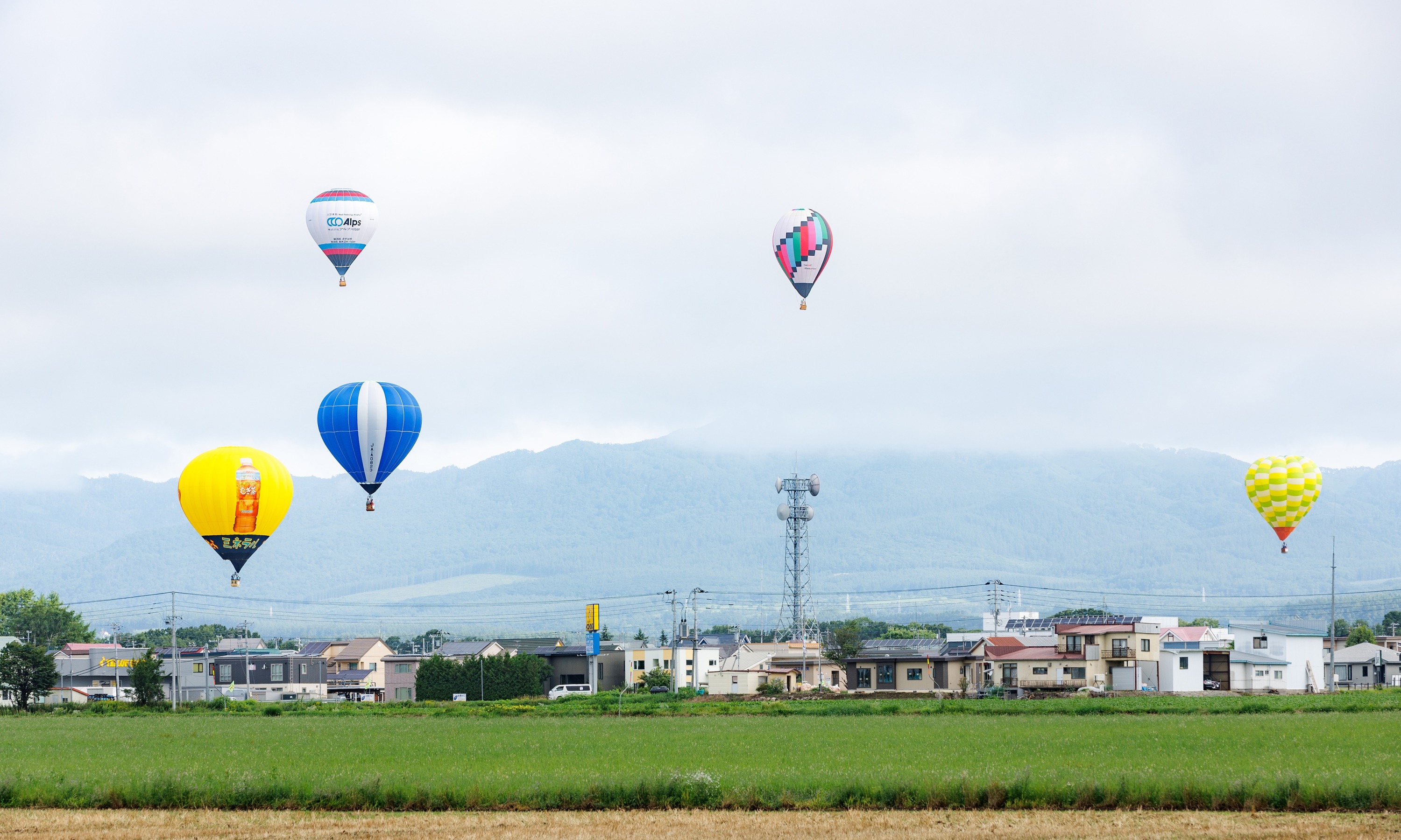 第50回北海道バルーンフェスティバル（令和5年8月11日撮影）の画像