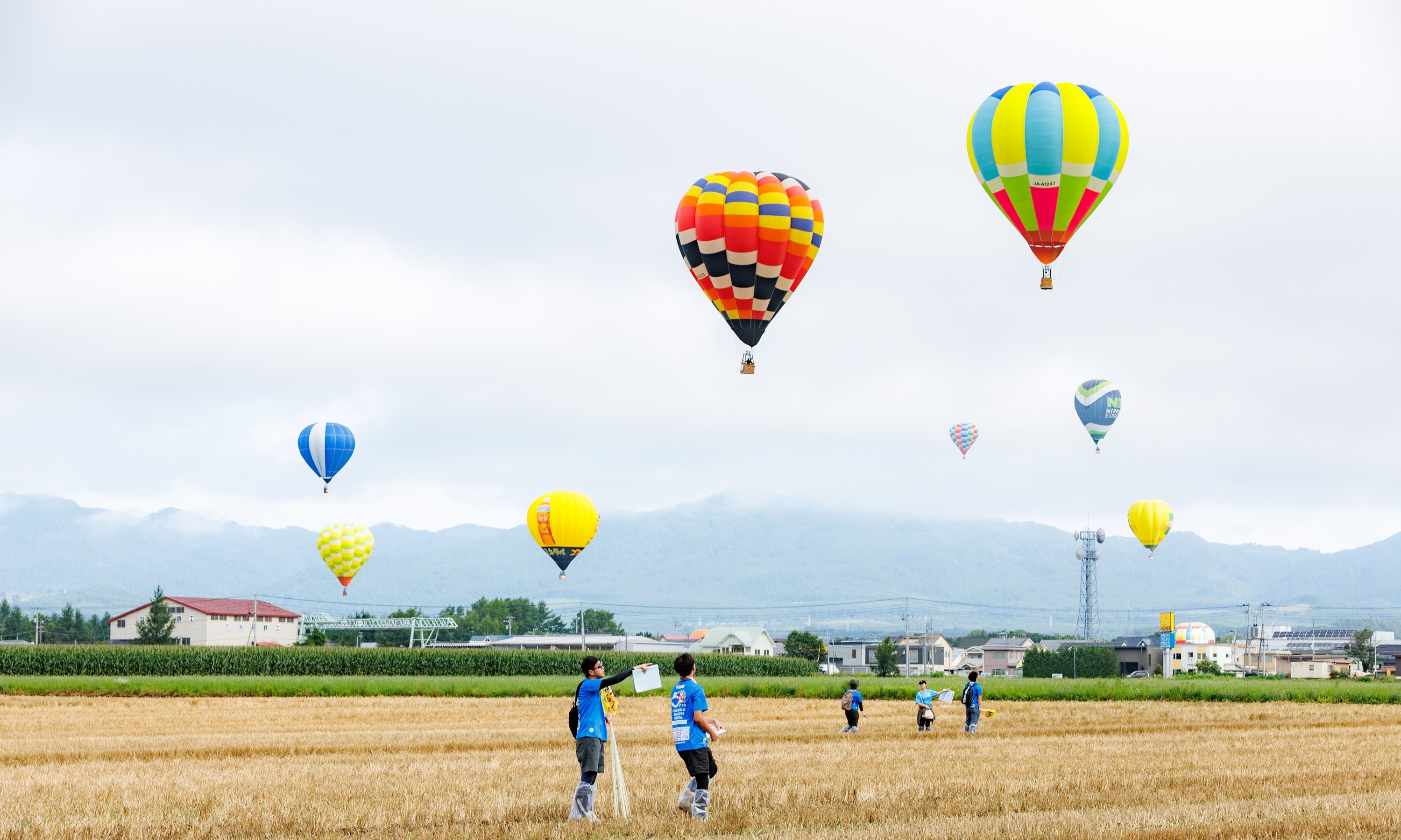 第50回北海道バルーンフェスティバル（令和5年8月11日撮影）の画像
