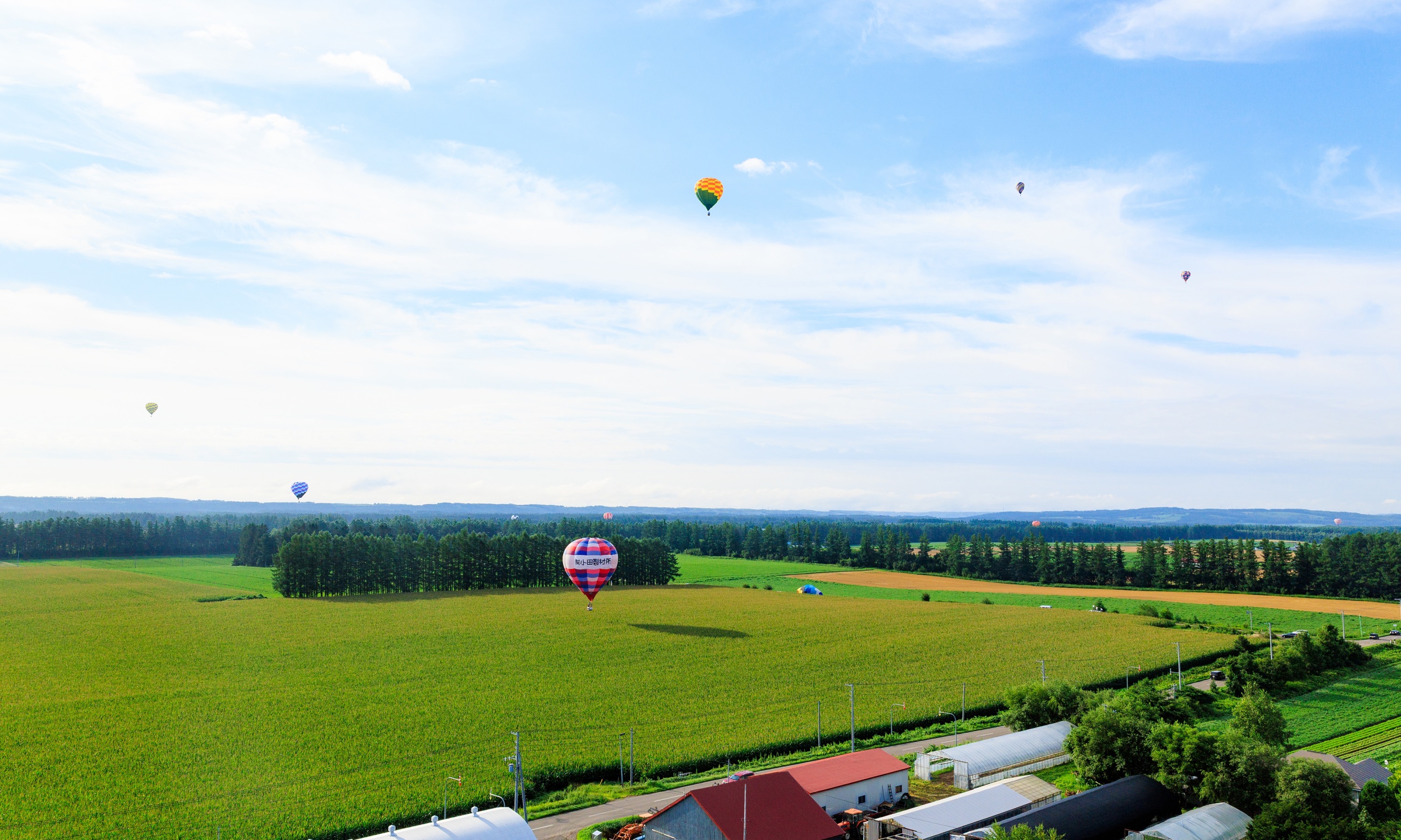 第52回北海道バルーンフェスティバル（令和7年8月3日撮影）の画像