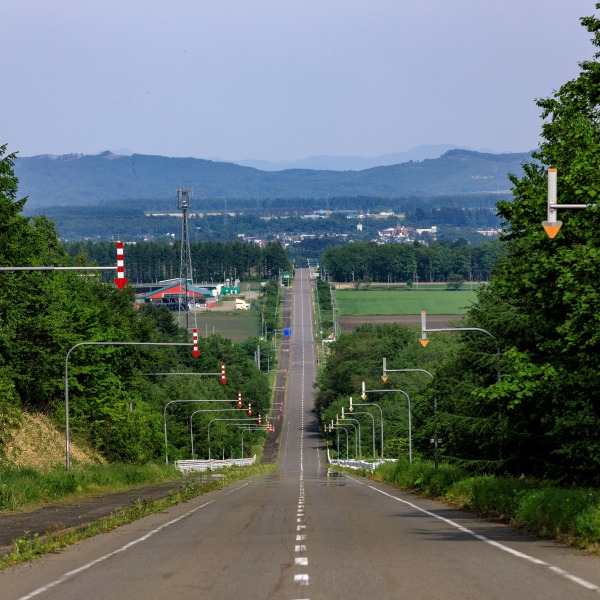 道道337号線