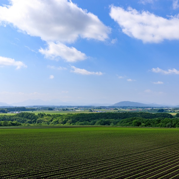 居辺の農村地帯