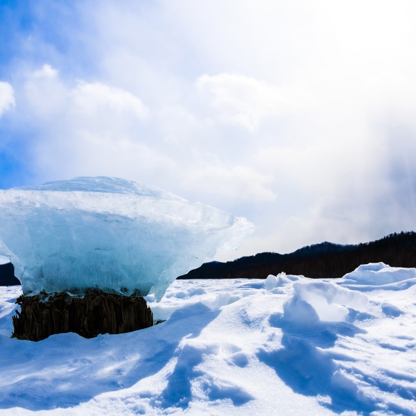 糠平湖のきのこ氷