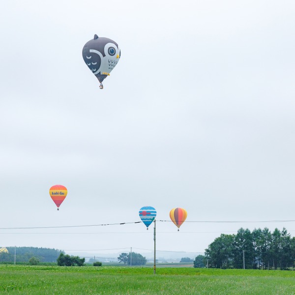 第51回北海道バルーンフェスティバル