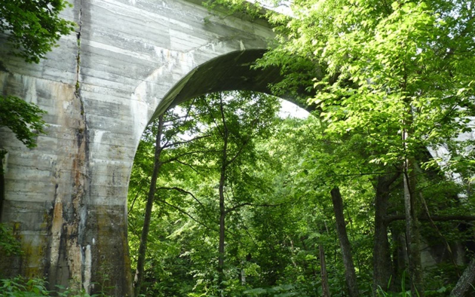 糠平川橋梁の画像