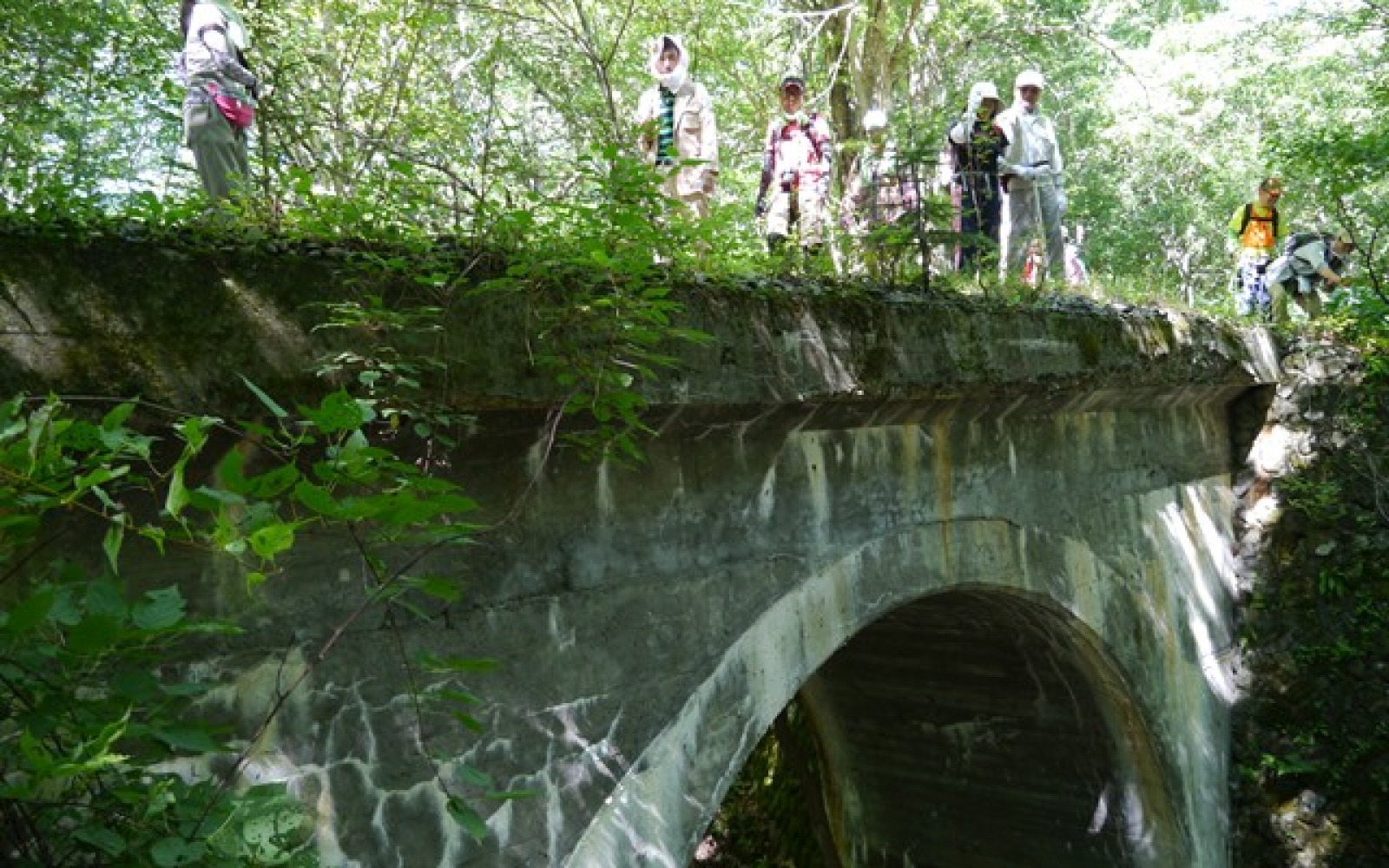 五の沢橋梁の画像