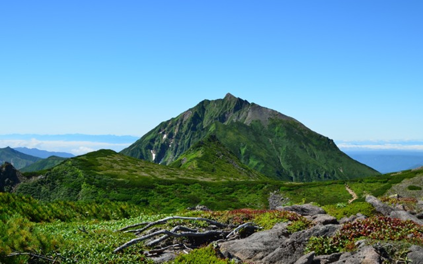 ニペソツ山の画像