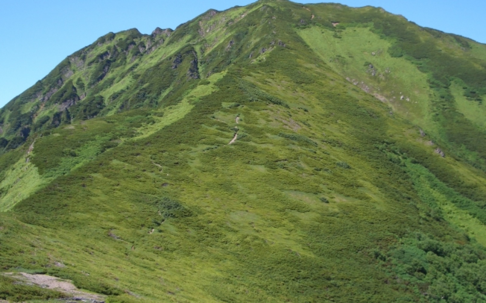 石狩岳の画像