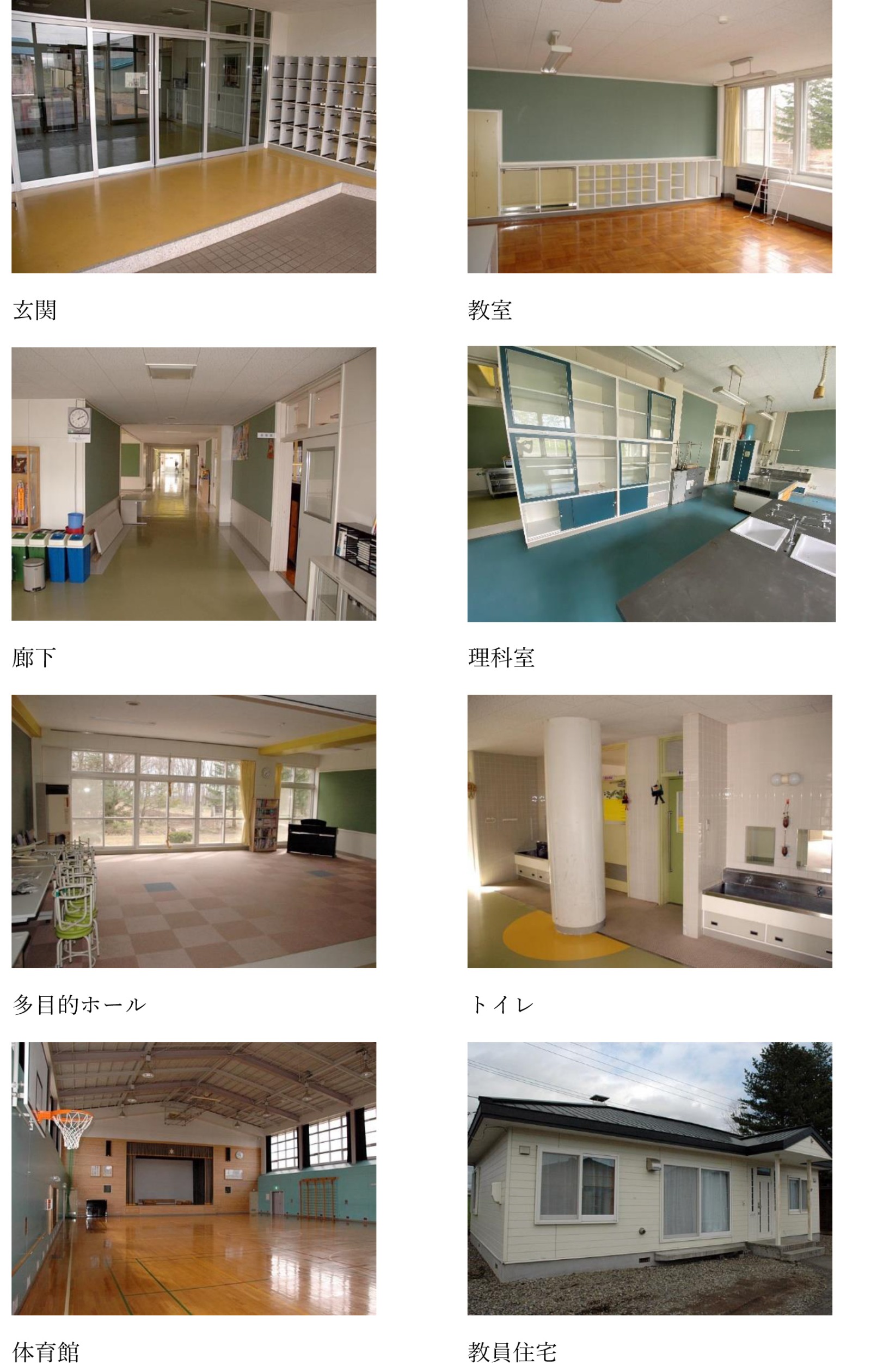 参考写真