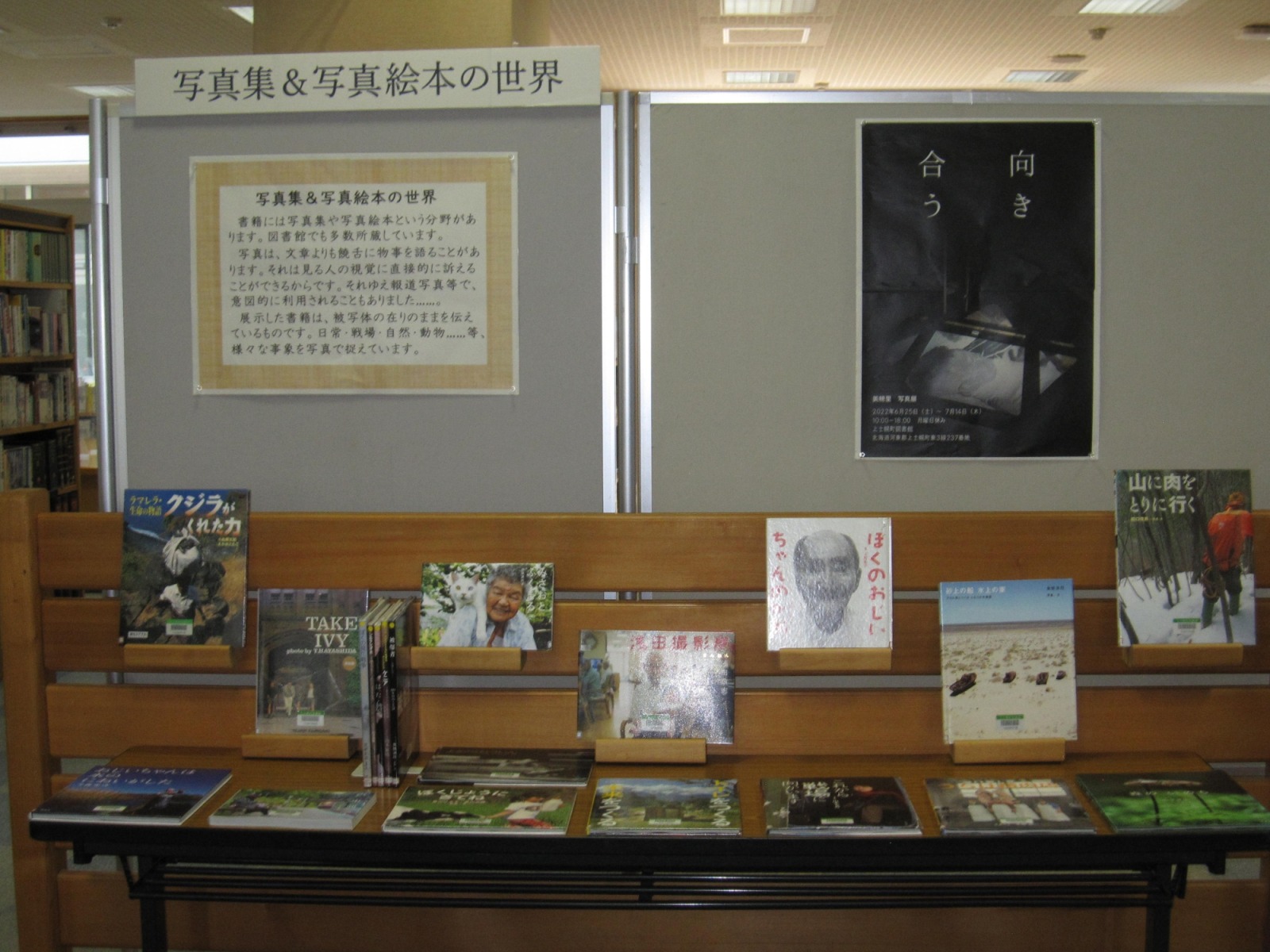 写真&写真絵本