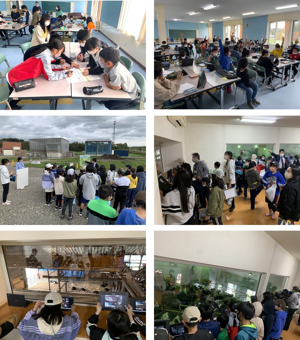 小学校SDGs授業2の画像