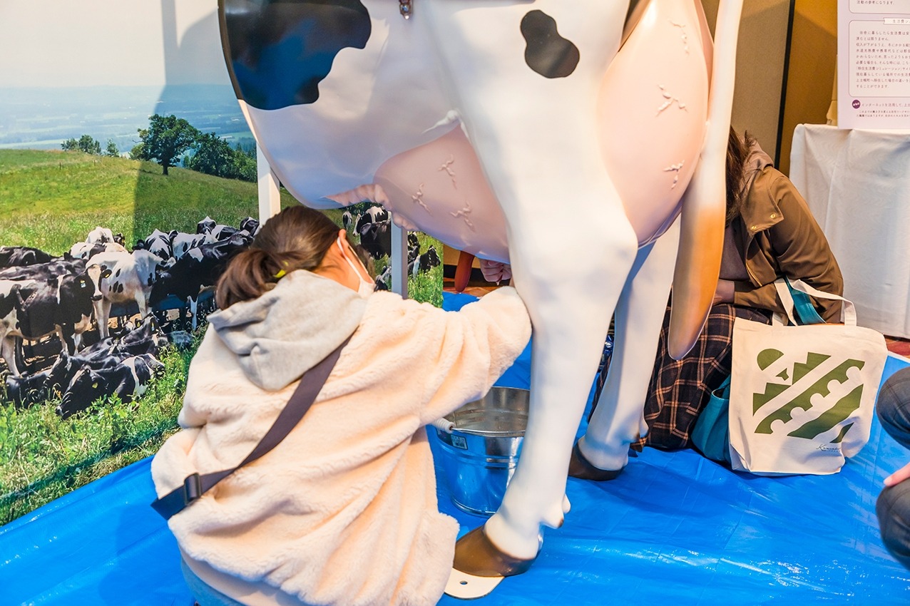 万博 乳しぼり体験の画像