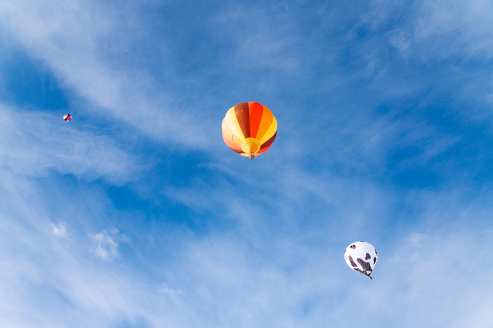 ウィンターバルーン1の画像